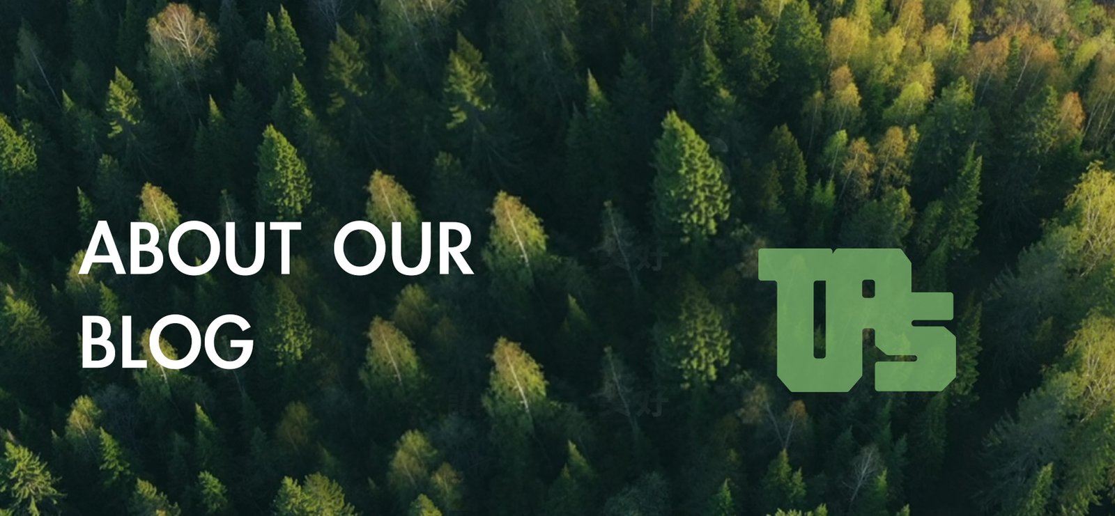 Blog Banner